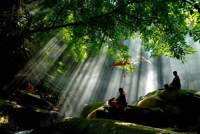 Quan niệm của đạo Phật về thiên nhiên